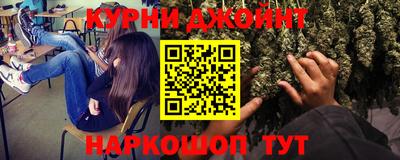 сатива Будённовск