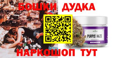 сатива Будённовск