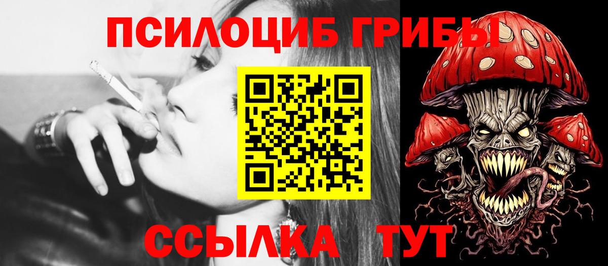 Галлюциногенные грибы мухоморы  Галлюциногенные грибы Psilocybe  купить наркотики сайты  Нижневартовск  Вход с VPN 