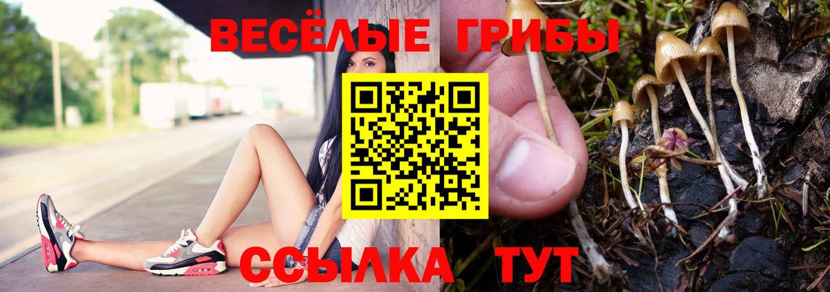 Псилоцибиновые грибы Psilocybine cubensis Нижневартовск